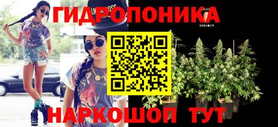 гидропоника Берёзовский