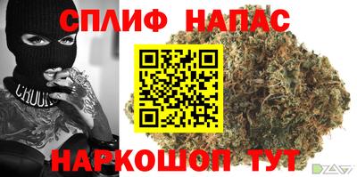 молекула духа Беслан