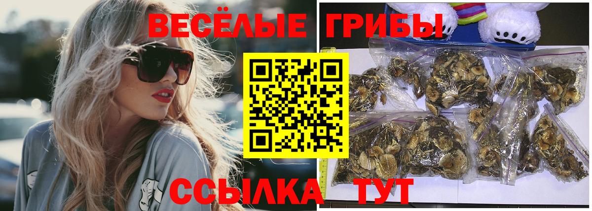 Галлюциногенные грибы Magic Shrooms Керчь