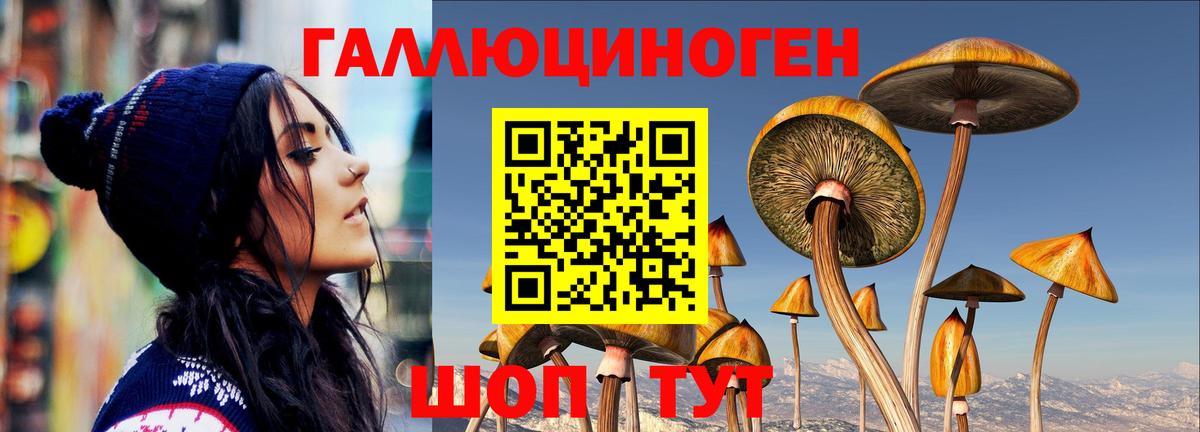 Псилоцибиновые грибы ЛСД  Вход с VPN  Псилоцибиновые грибы прущие грибы  даркнет сайт  Керчь 